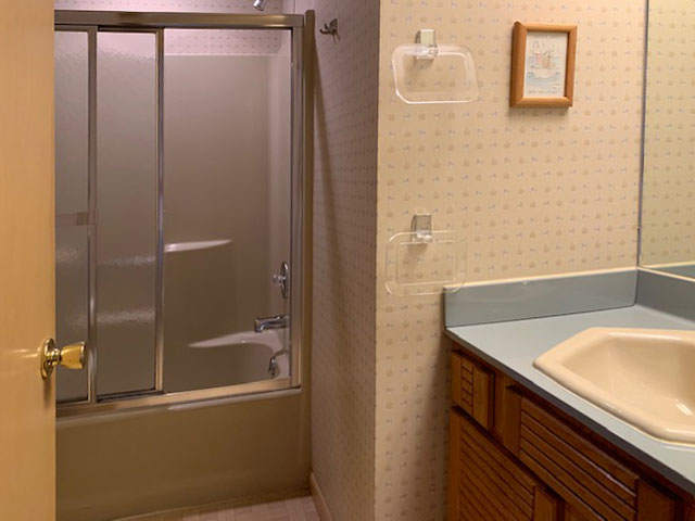 Main Level Hall Bath